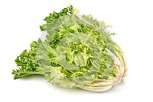 Fresh Romain Lettuce. Crispy endive. close-up, isolated on white background