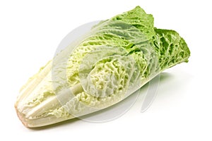 Fresh Romain Lettuce, isolated on white background