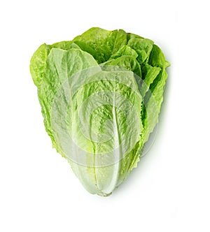 Fresh Romain Lettuce isolated on white background.