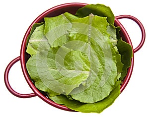 Fresh Romaine Lettuce