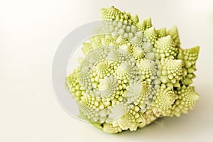 Fresh roman cauliflower, romanesco broccoli cabbage isolated on white background with copy space