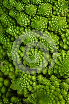 Fresh romanesco broccoli (Brassica oleracea) in close-up