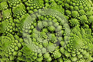 Fresh romanesco broccoli (Brassica oleracea) in close-up