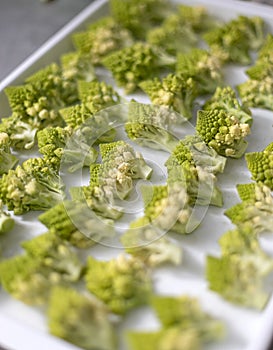 Fresh romanesco broccoli