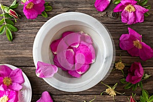 Fresh rosa rugosa petals in a mortar