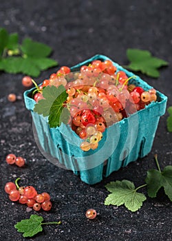 Fresh rosa and white currant berries with water drops in a turquoise cardboard box.