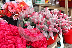 Fresco rosas sobre el flor El mercado en la ciudad 