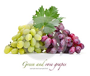 Fresh rose and green grapes
