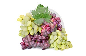 Fresh rose and green grapes with leaf photo