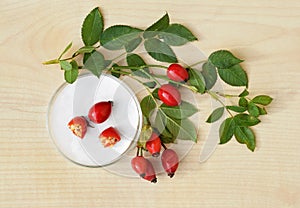 Fresh rose hips in petri dish and around it