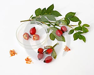 Fresh rose hips in petri dish and around it