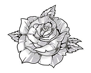 Fresh rose monochrome vintage sticker