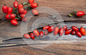 Fresh rosehip on wood rustic background in daylight