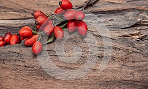 Fresh rosehip on wood rustic background in daylight