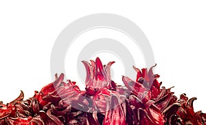 Fresh Roselle isolate on white background