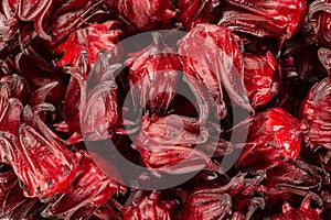 Fresh Roselle isolate on white background