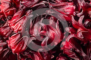 Fresh Roselle isolate on white background