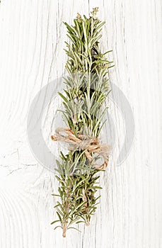 Fresh Rosemary