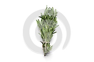 Fresh rosemary isolated on white top view