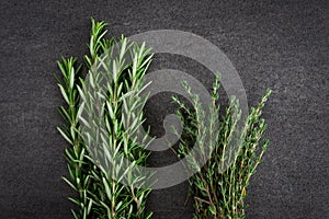 Fresh Rosemary Thyme Herbs
