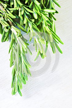 Fresh rosemary twig on wooden background