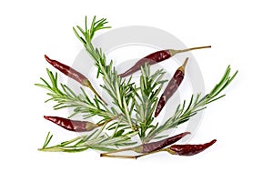 Fresh rosemary twigs and dried chili on a white background