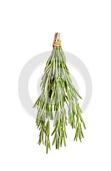 Fresh rosemary twigs hanging