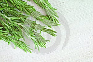 Fresh rosemary twigs on white wooden background