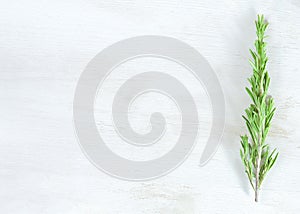 Fresh rosemary twigs on white wooden background