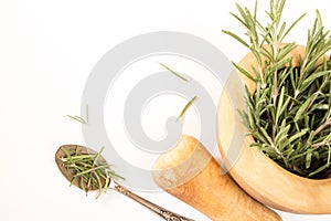 Fresh rosemary in wooden mortar with pestle on withe background.