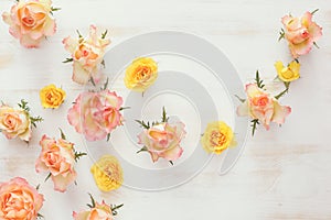 Fresh roses flower, abstract background