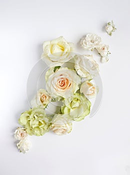 Fresh roses on white background, floral flowers blooming garden wedding pattern, pastel wallpaper fine art phopto, instagram flat photo