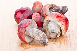 Fresh Rosy Russula fungi on wooden plate