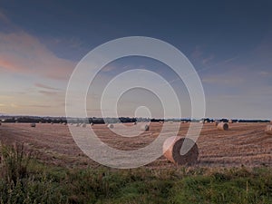 Fresh round bale of hey in a field at sunrise, blue colorful cloudy sky, Nobody. Concept agriculture process