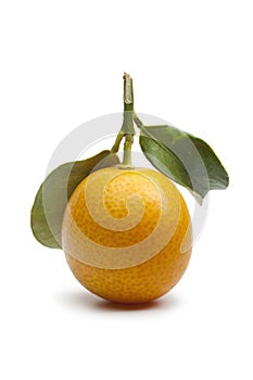 Fresh round kumquat