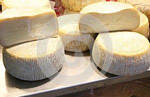 Fresh round shaped cheese made with fresh milk of sheep in the