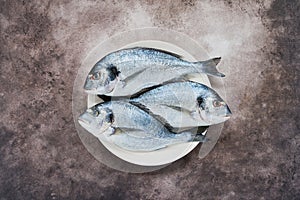 Fresh Royal Dorada on brown concrete background. Healthy food concept. Top view, copy space