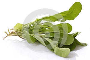 Fresh rucola