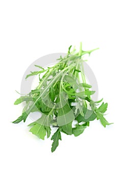 Fresh rucola