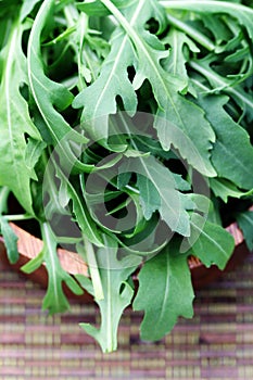 Fresh rucola