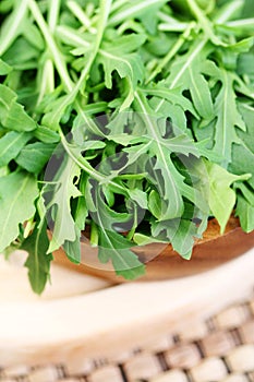 Fresh rucola