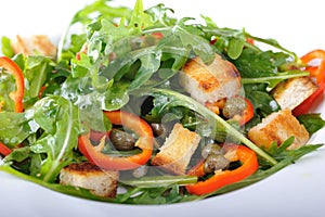 Fresh rucola salad