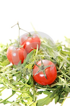Fresh rucola with tomatoes isolated on white.