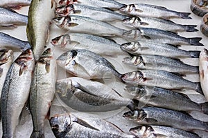 Fresh russian fish on ice at food product market 4