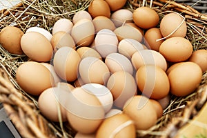 Fresh rustic eggs in a wicker basket. Close-up