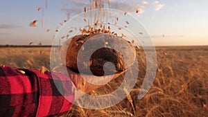 Fresh rye bread over ripe ears with grain. wheat grains fall on bread in the hands of girl, over a field of wheat. ripe