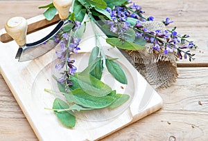 Fresh sage leaves on wooden cutting board