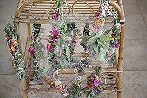 Fresh Sage Smudge Sticks Bound and Hung out for Drying
