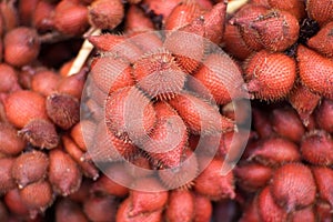 Fresh Salacca, Salak Bali, zalacca is local traditional Thai fruit