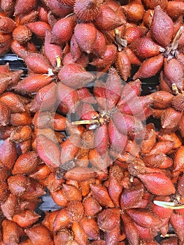 Fresh Salacca zalacca or Salak fruits.